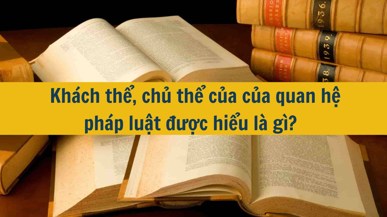 Kh&aacute;ch thể, chủ thể của của quan hệ ph&aacute;p luật được hiểu l&agrave; g&igrave;?