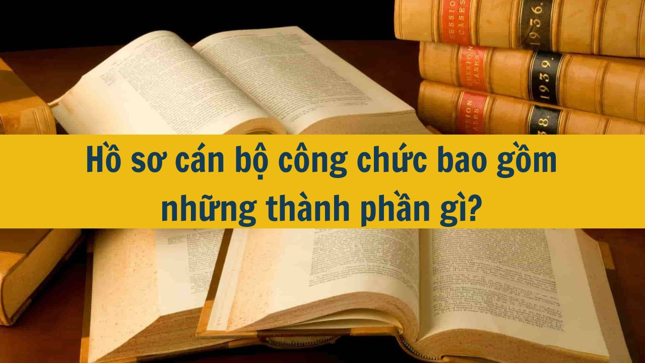Hồ sơ c&aacute;n bộ c&ocirc;ng chức bao gồm những th&agrave;nh phần g&igrave;? (ảnh 1)