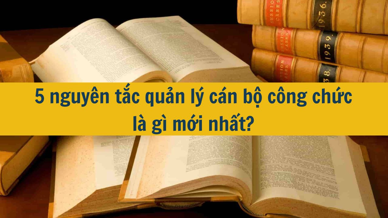5 nguy&ecirc;n tắc quản l&yacute; c&aacute;n bộ c&ocirc;ng chức l&agrave; g&igrave; mới nhất 2025? (ảnh 1)
