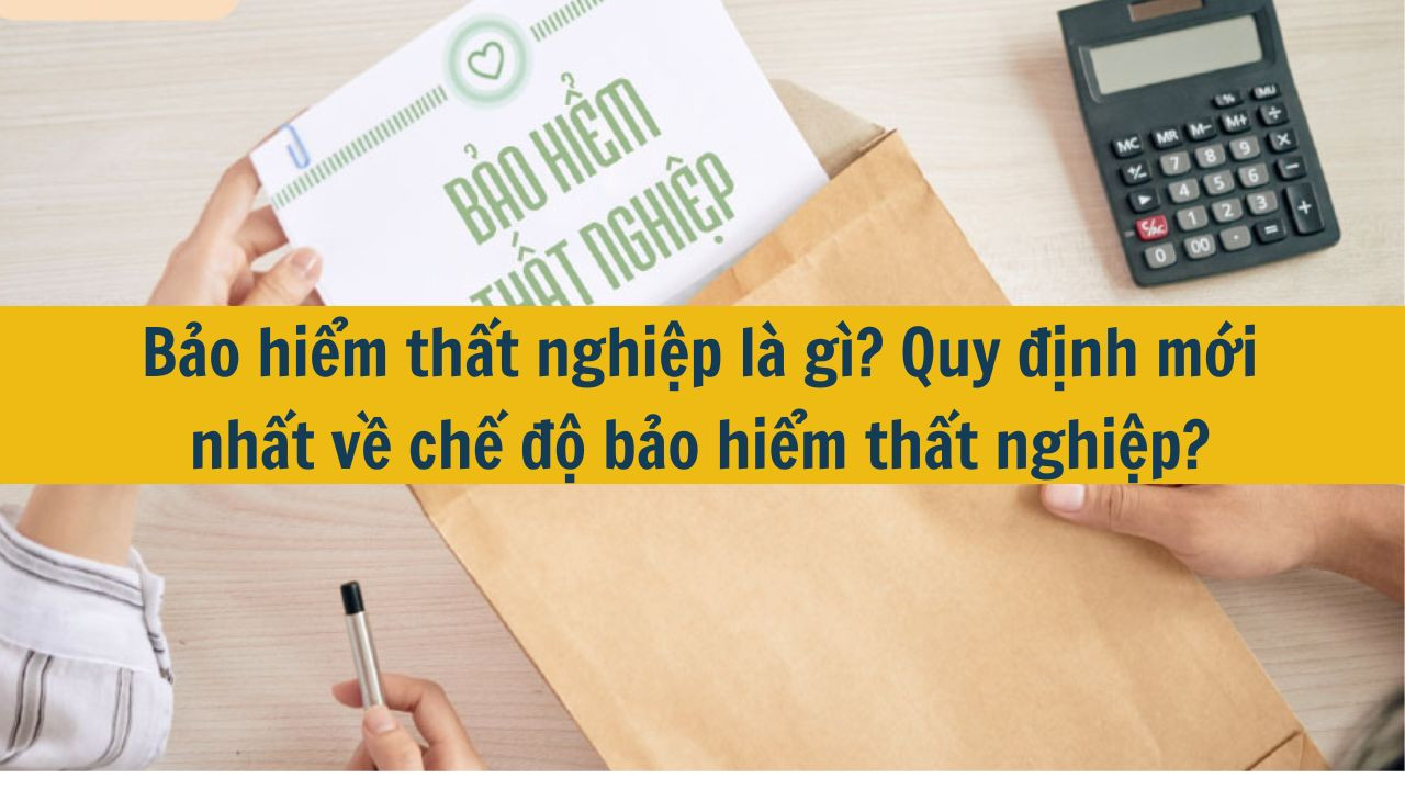 Bảo hiểm thất nghiệp là gì? Quy định mới nhất 2025 về chế độ bảo hiểm thất nghiệp? (ảnh 1)