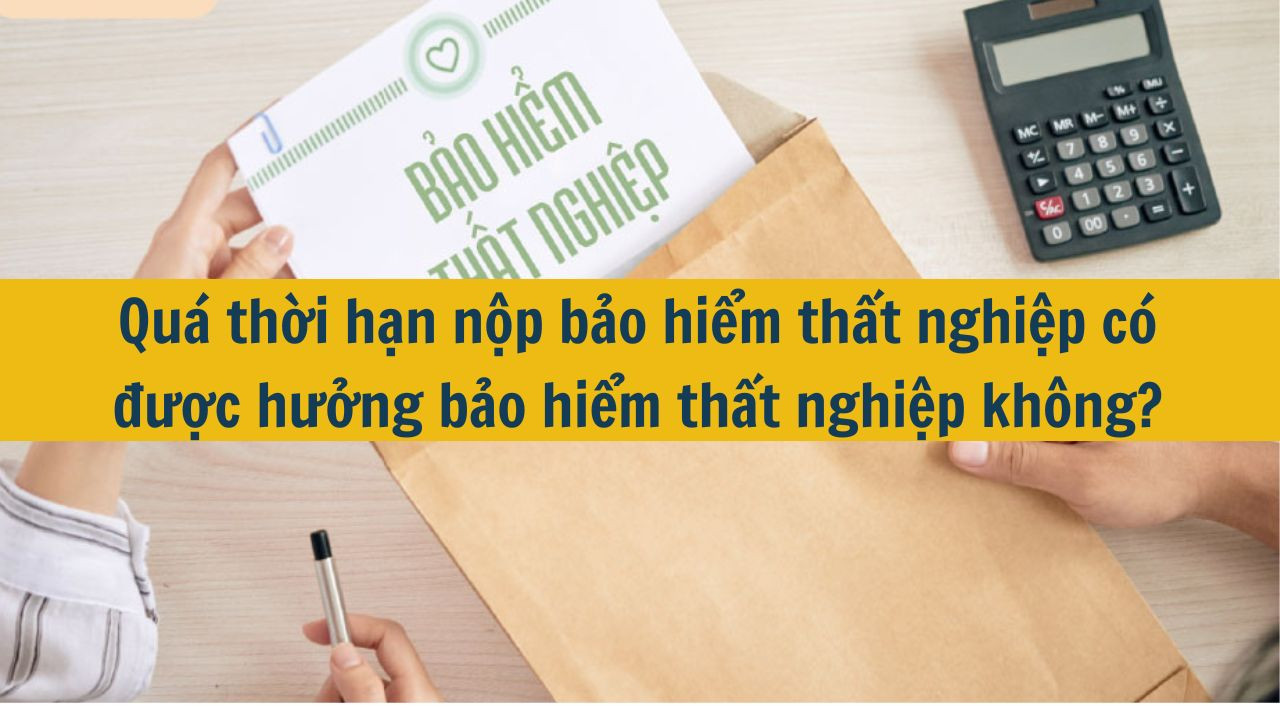 Quá thời hạn nộp bảo hiểm thất nghiệp có được hưởng bảo hiểm thất nghiệp không? (ảnh 1)