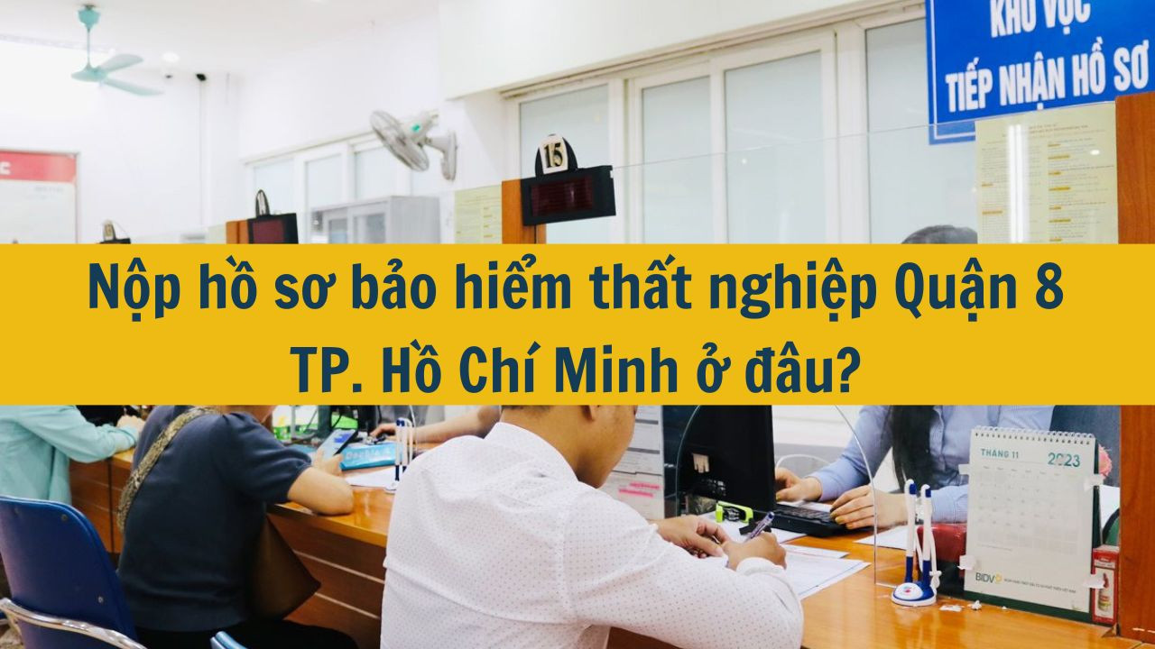 Nộp hồ sơ bảo hiểm thất nghiệp Quận 8 TP. Hồ Chí Minh ở đâu? (ảnh 1)