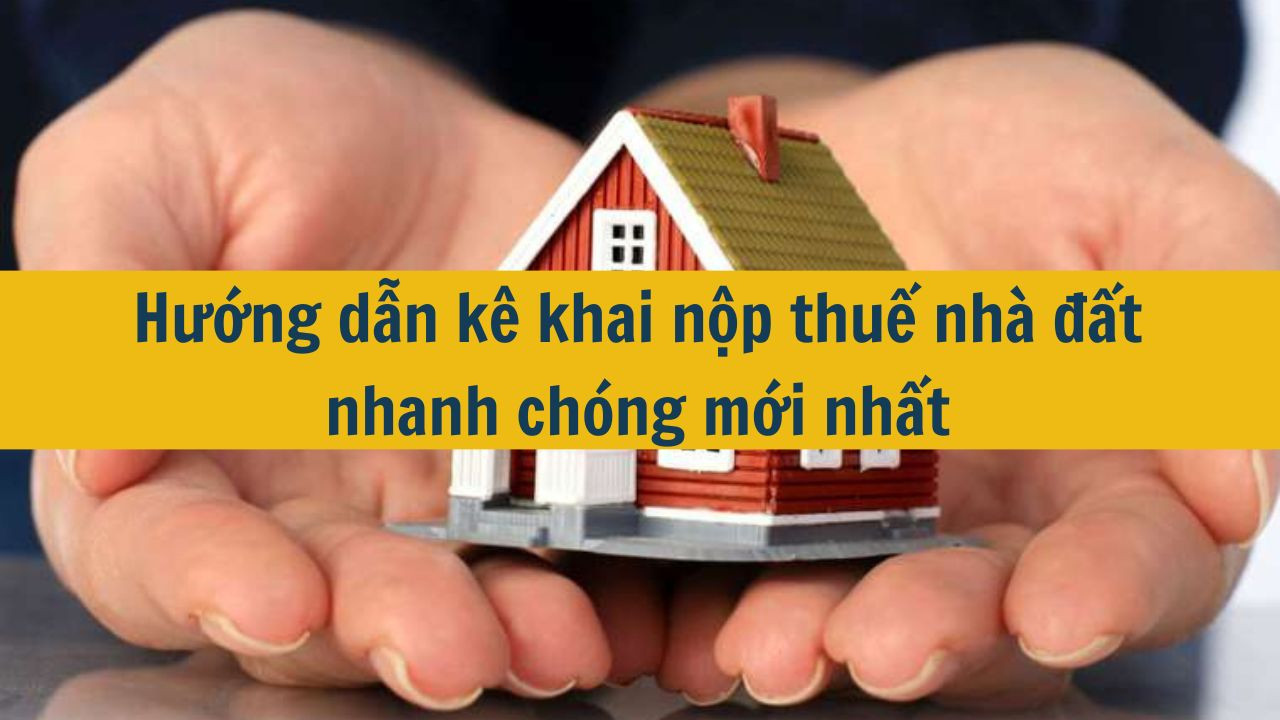 Hướng dẫn kê khai nộp thuế nhà đất nhanh chóng mới nhất 2025 (ảnh 1)