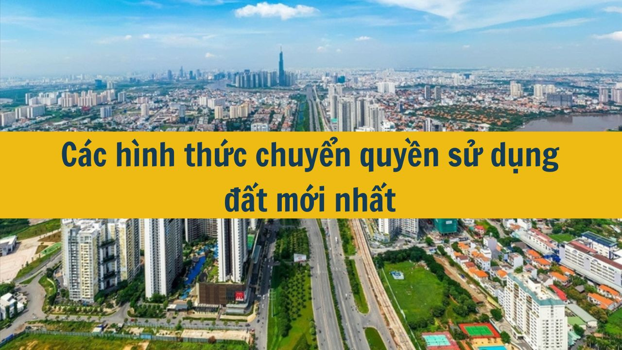 Các hình thức chuyển quyền sử dụng đất mới nhất 2025? (ảnh 1)