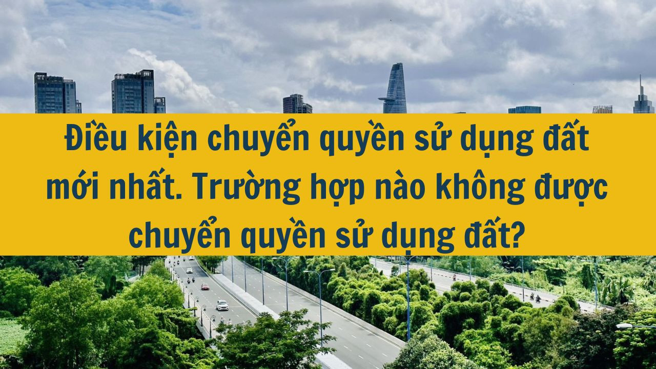 Điều kiện chuyển quyền sử dụng đất mới nhất 2025. Trường hợp nào không được chuyển quyền sử dụng đất? (ảnh 1)