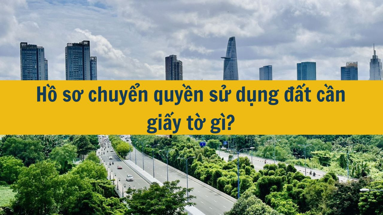 Hồ sơ chuyển quyền sử dụng đất cần giấy tờ gì? (ảnh 1)