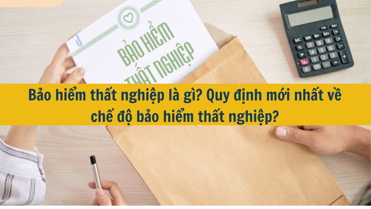 Bảo hiểm thất nghiệp là gì? Quy định mới nhất 2025 về chế độ bảo hiểm thất nghiệp? (ảnh 1)