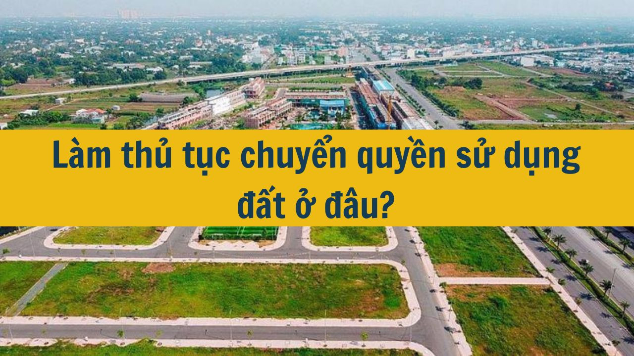 Làm thủ tục chuyển quyền sử dụng đất ở đâu? (ảnh 1)