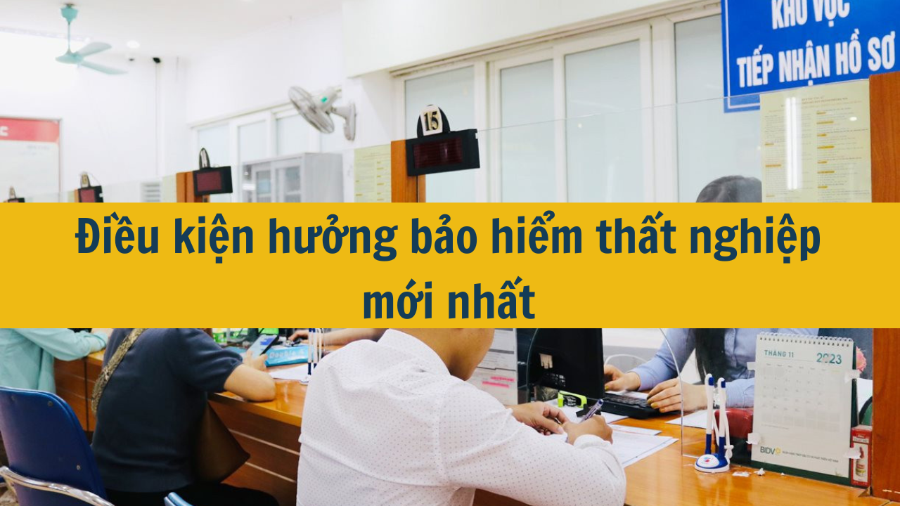 Điều kiện hưởng bảo hiểm thất nghiệp mới nhất 2025?