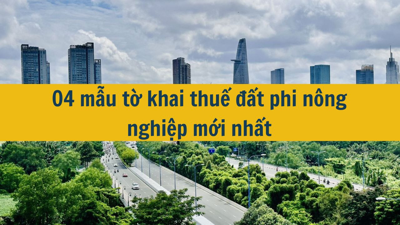 04 mẫu tờ khai thuế đất phi nông nghiệp mới nhất 2025? (ảnh 1)