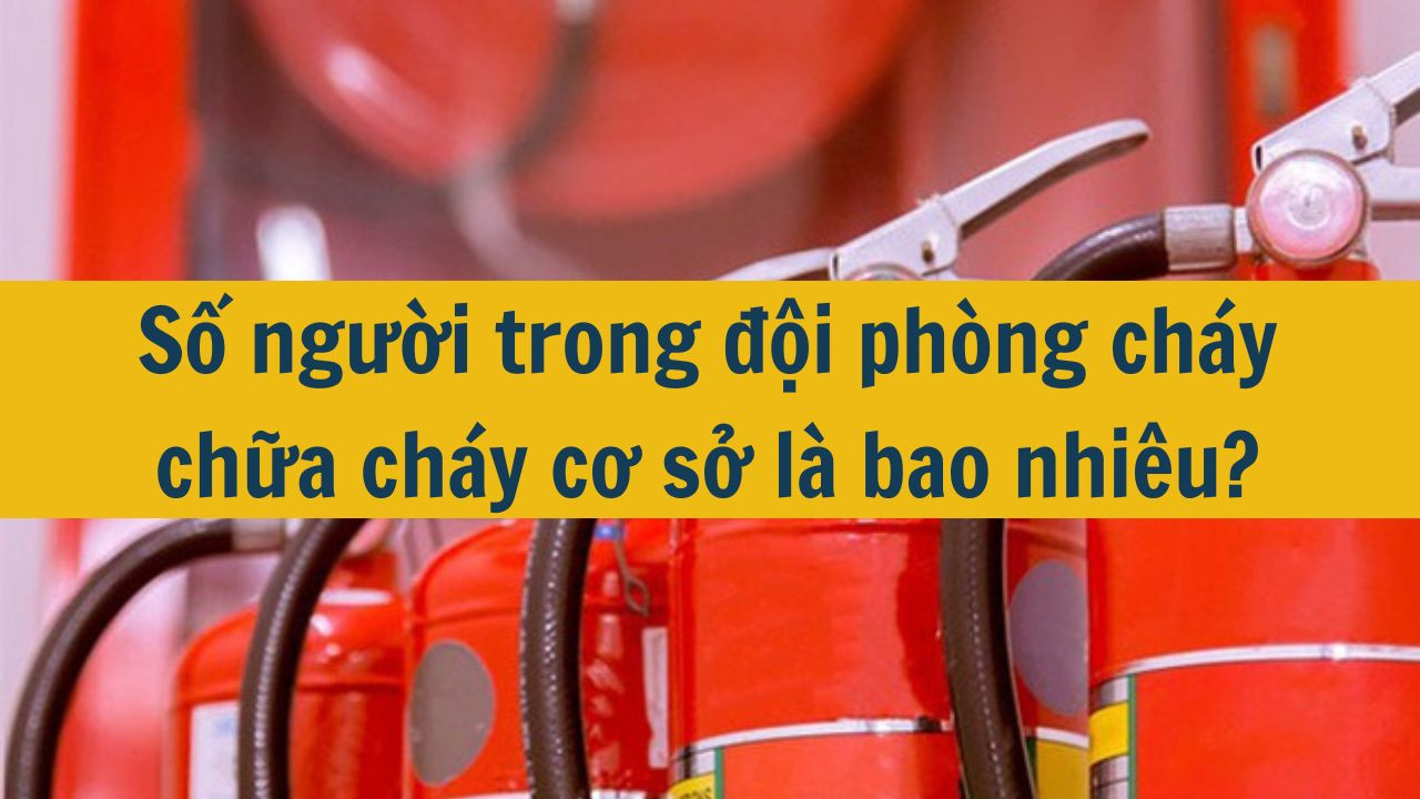 Số người trong đội phòng cháy chữa cháy cơ sở là bao nhiêu? (ảnh 1)