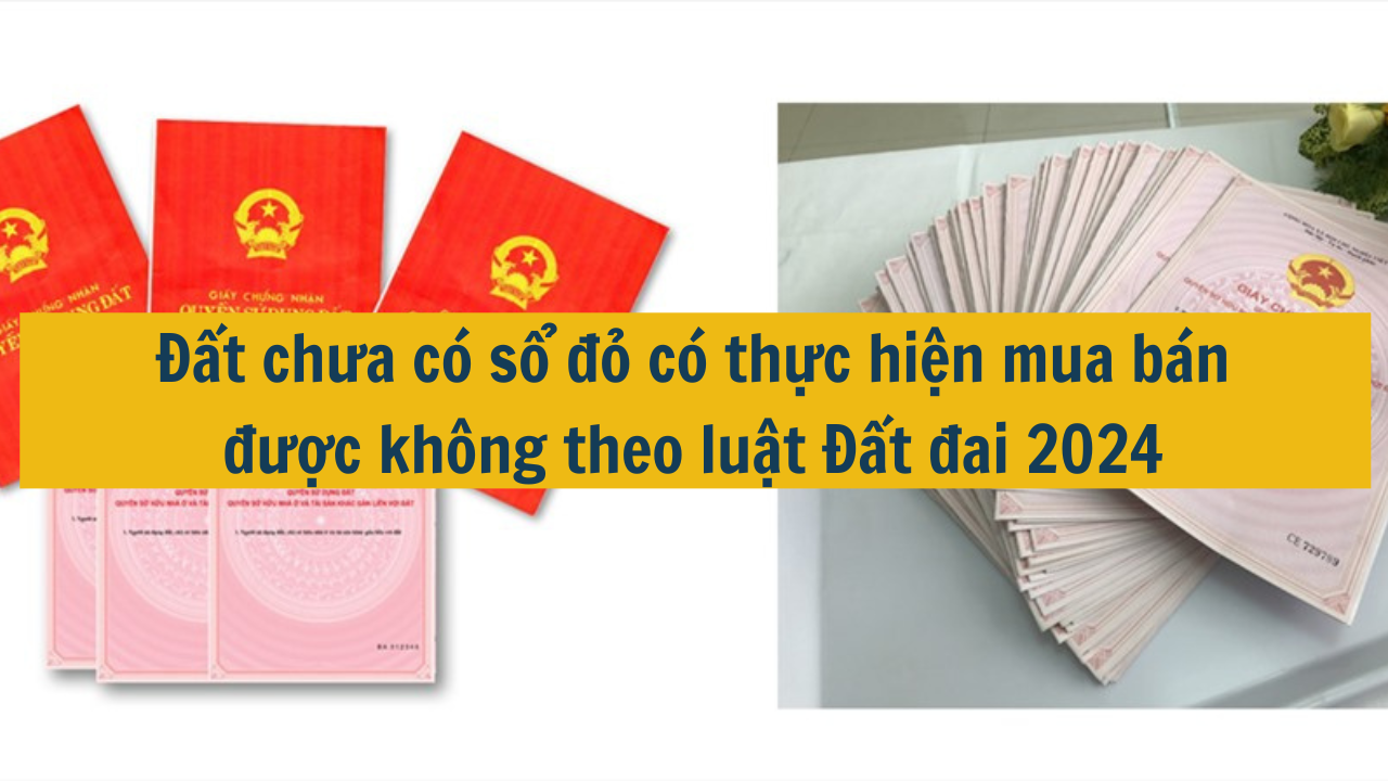 Đất chưa có sổ đỏ có thực hiện mua bán được không theo luật Đất đai 2024 (ảnh 1)