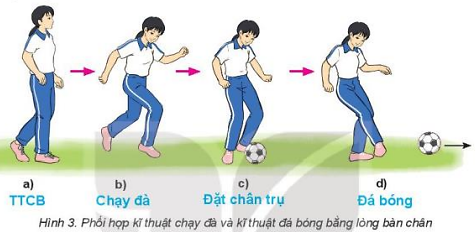 Giáo dục thể chất 10 Bài 1: Kĩ thuật đá bóng bằng lòng bàn chân - Bóng đá 10 Kết nối tri thức (ảnh 1)