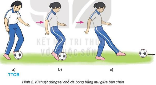 Giáo dục thể chất 10 Bài 2: Kĩ thuật đá bóng bằng mu giữa bàn chân - Bóng đá 10 Kết nối tri thức (ảnh 1)