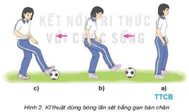 Giáo dục thể chất 10 Bài 2: Kĩ thuật dừng bóng lăn sệt bằng gan bàn chân - Bóng đá 10 Kết nối tri thức (ảnh 1)