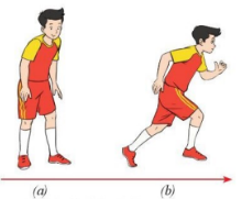 Giáo dục thể chất 10 Bài 1: Lịch sử môn bóng đá, kĩ thuật di chuyển và kĩ thuật đá bóng bằng lòng bàn chân - Bóng đá 10 Cánh diều (ảnh 1)