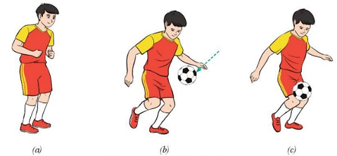 Giáo dục thể chất 10 Bài 1: Kĩ thuật dừng bóng bằng đùi - Bóng đá 10 Cánh diều (ảnh 1)