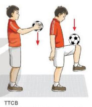Giáo dục thể chất 7 Bài 1: Kĩ thuật đá bóng bằng mu trong bàn chân - Kết nối tri thức (ảnh 1)