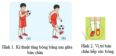 Giáo dục thể chất 7 Bài 1: Kĩ thuật tâng bóng bằng mu giữa bàn chân - Cánh diều (ảnh 1)