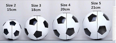 Giáo dục thể chất 10 Bài 2: Một số điều luật trong thi đấu bóng đá - Bóng đá 10 Kết nối tri thức (ảnh 1)