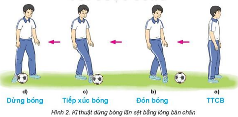 Giáo dục thể chất 10 Bài 1: Kĩ thuật dừng bóng lăn sệt bằng lòng bàn chân - Bóng đá 10 Kết nối tri thức (ảnh 1)