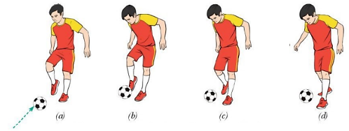 Giáo dục thể chất 10 Bài 1: Kĩ thuật dẫn bóng và dừng bóng bằng mu giữa bàn chân - Bóng đá 10 Cánh diều (ảnh 1)