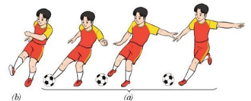 Giáo dục thể chất 10 Bài 2: Kĩ thuật dẫn bóng bằng mu ngoài bàn chân và kĩ thuật đá bóng bằng mu trong bàn chân - Bóng đá 10 Cánh diều (ảnh 1)