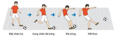 Giáo dục thể chất 7 Bài 1: Kĩ thuật đá bóng bằng mu trong bàn chân - Kết nối tri thức (ảnh 1)