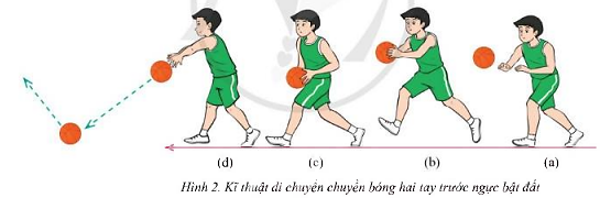 Giáo dục thể chất 7 Bài 3: Kĩ thuật chuyền bóng hai tay trước ngực bật đất - Cánh diều (ảnh 1)