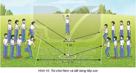 Giáo dục thể chất 10 Bài 1: Kĩ thuật bắt bóng lăn sệt - Bóng đá 10 Kết nối tri thức (ảnh 1)