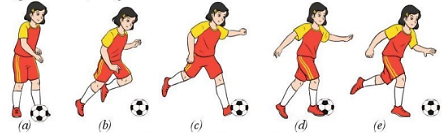 Giáo dục thể chất 10 Bài 2: Kĩ thuật dừng bóng và dẫn bóng bằng lòng bàn chân - Bóng đá 10 Cánh diều (ảnh 1)