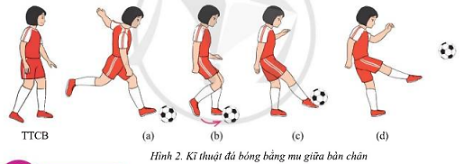 Giáo dục thể chất 7 Bài 2: Kĩ thuật đá bóng bằng mu bàn chân - Cánh diều (ảnh 1)