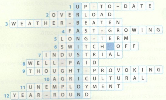 SBT Tiếng Anh 12 mới Unit 2: Vocabulary & Grammar trang 13 (ảnh 1)