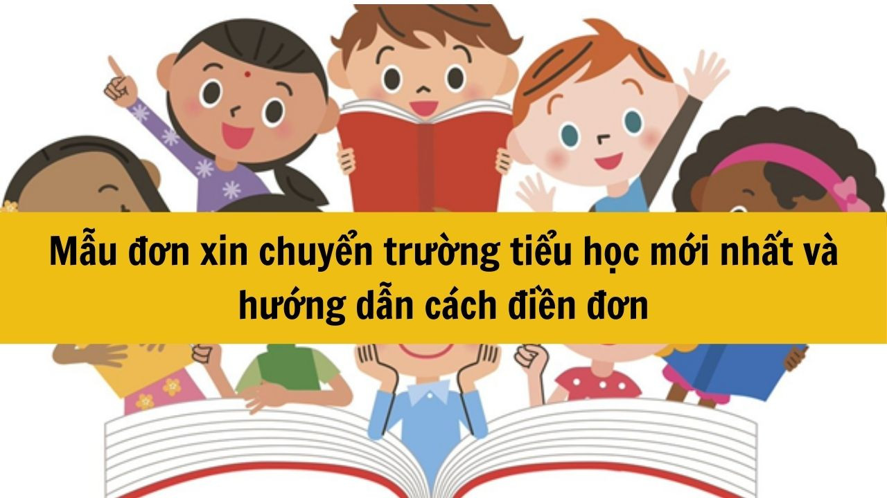 Mẫu đơn xin chuyển trường tiểu học mới nhất và hướng dẫn cách điền đơn