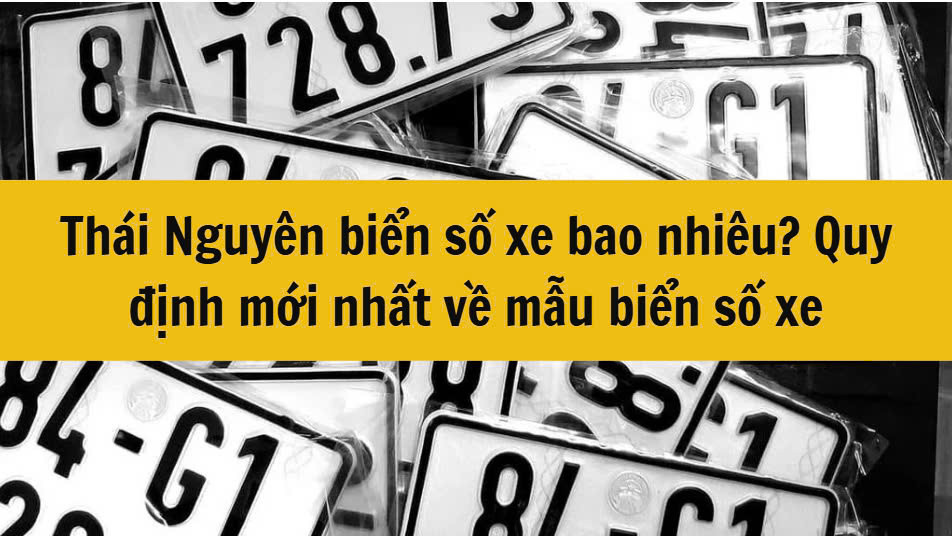 Thái Nguyên biển số xe bao nhiêu? Quy định mới nhất 2025 về mẫu biển số xe