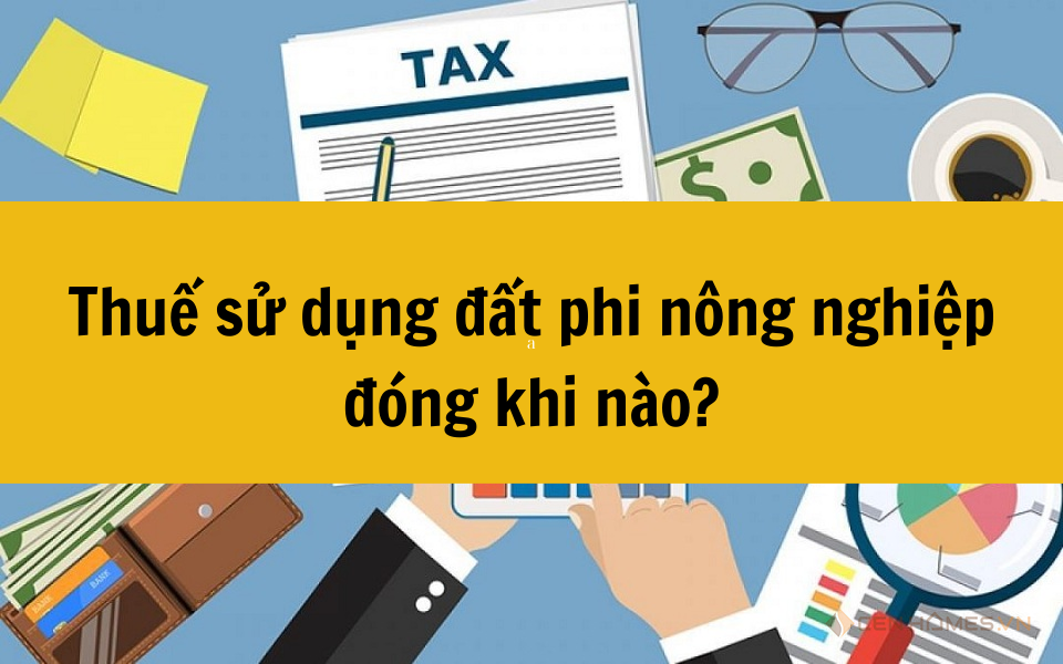 Thuế sử dụng đất phi nông nghiệp đóng khi nào?