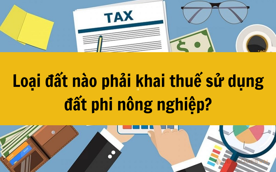 Loại đất nào phải khai thuế sử dụng đất phi nông nghiệp?