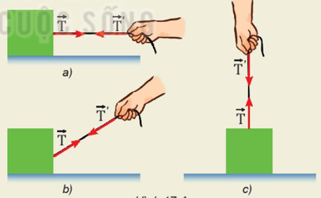 Lý thuyết Vật Lí 10 Bài 17: Trọng lực và lực căng - Kết nối tri thức (ảnh 1)