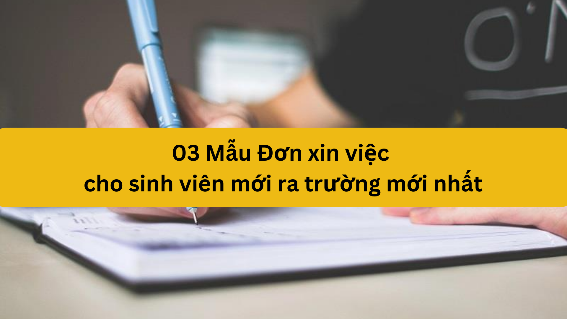 03 Mẫu Đơn xin việc cho sinh viên mới ra trường mới nhất