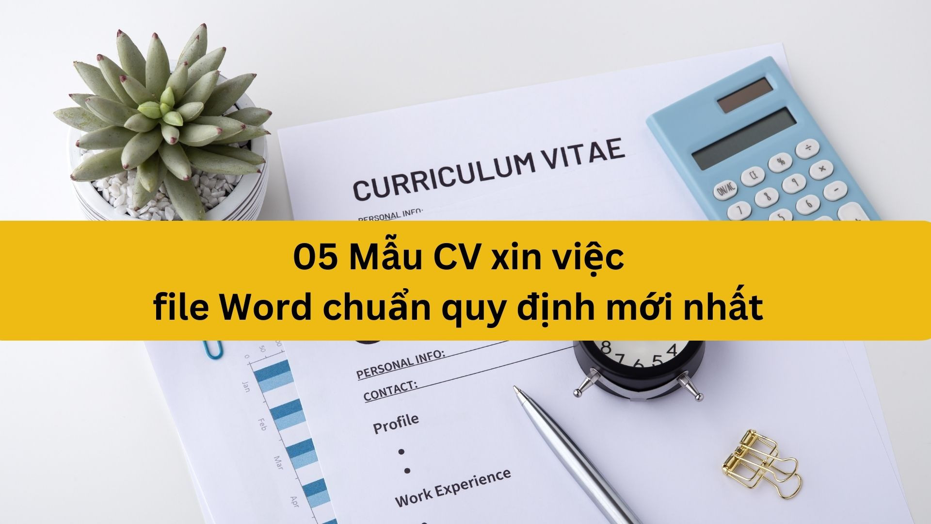 05 Mẫu CV xin việc file Word chuẩn quy định mới nhất