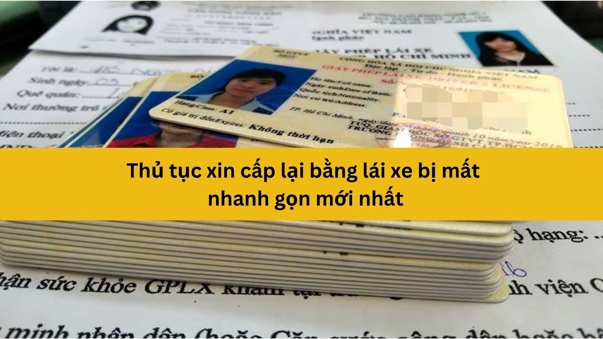 Thủ tục xin cấp lại bằng lái xe bị mất nhanh gọn mới nhất