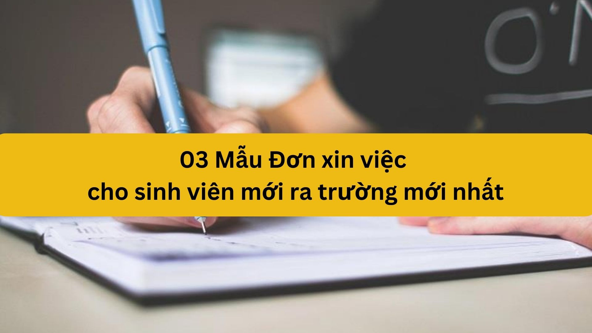 03 Mẫu Đơn xin việc cho sinh vi&ecirc;n mới ra trường mới nhất