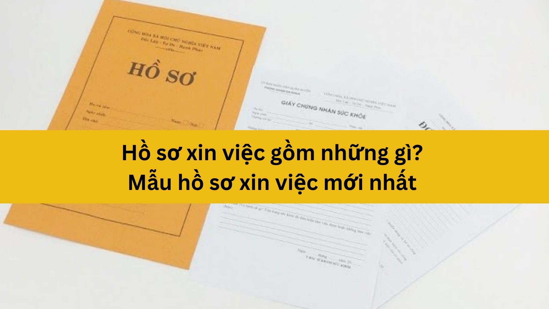 Hồ sơ xin việc gồm những gì? Mẫu hồ sơ xin việc mới nhất 2025