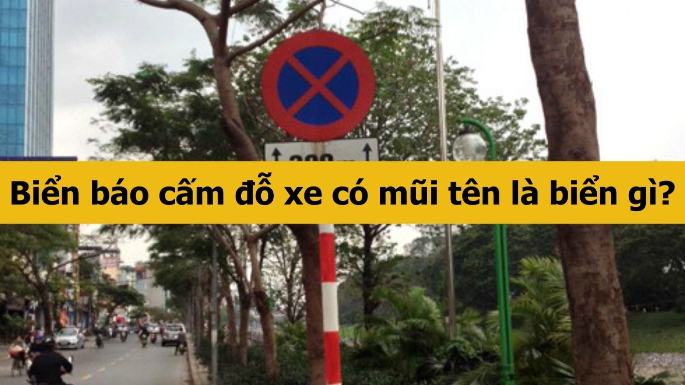 Biển báo cấm đỗ xe có mũi tên là biển gì?