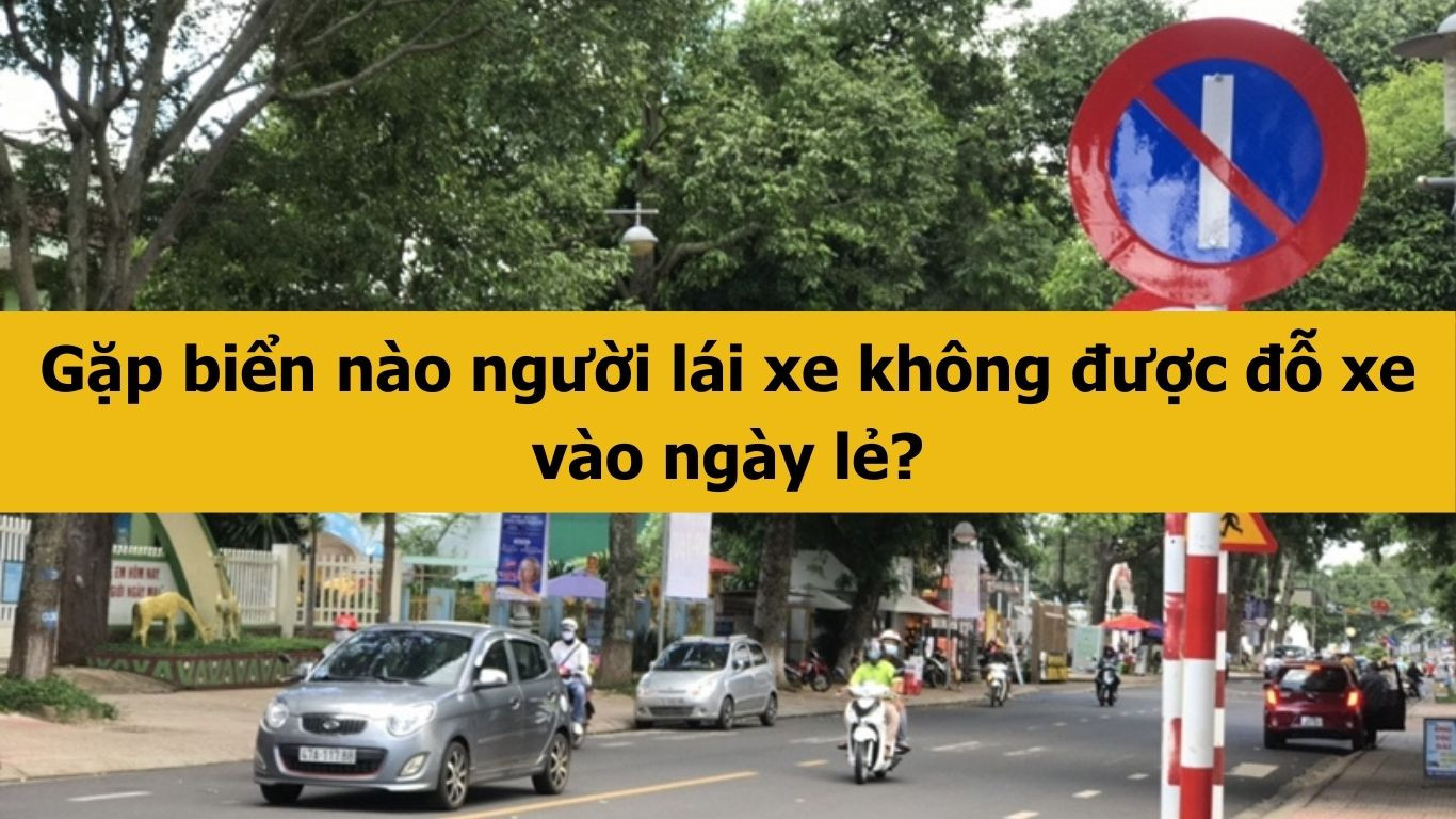 Gặp biển nào người lái xe không được đỗ xe vào ngày lẻ?