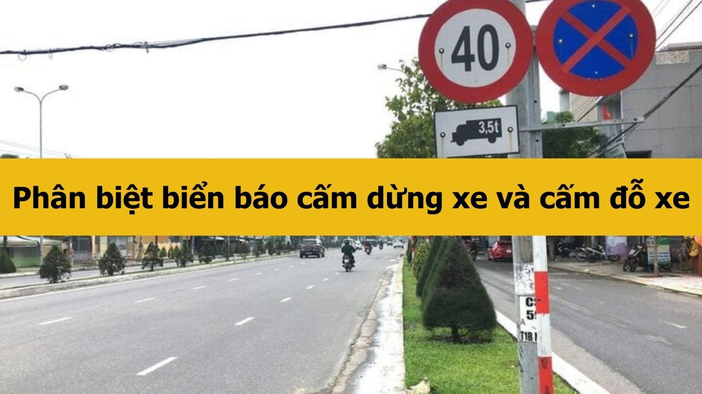 Phân biệt biển báo cấm dừng xe và cấm đỗ xe mới nhất 2025