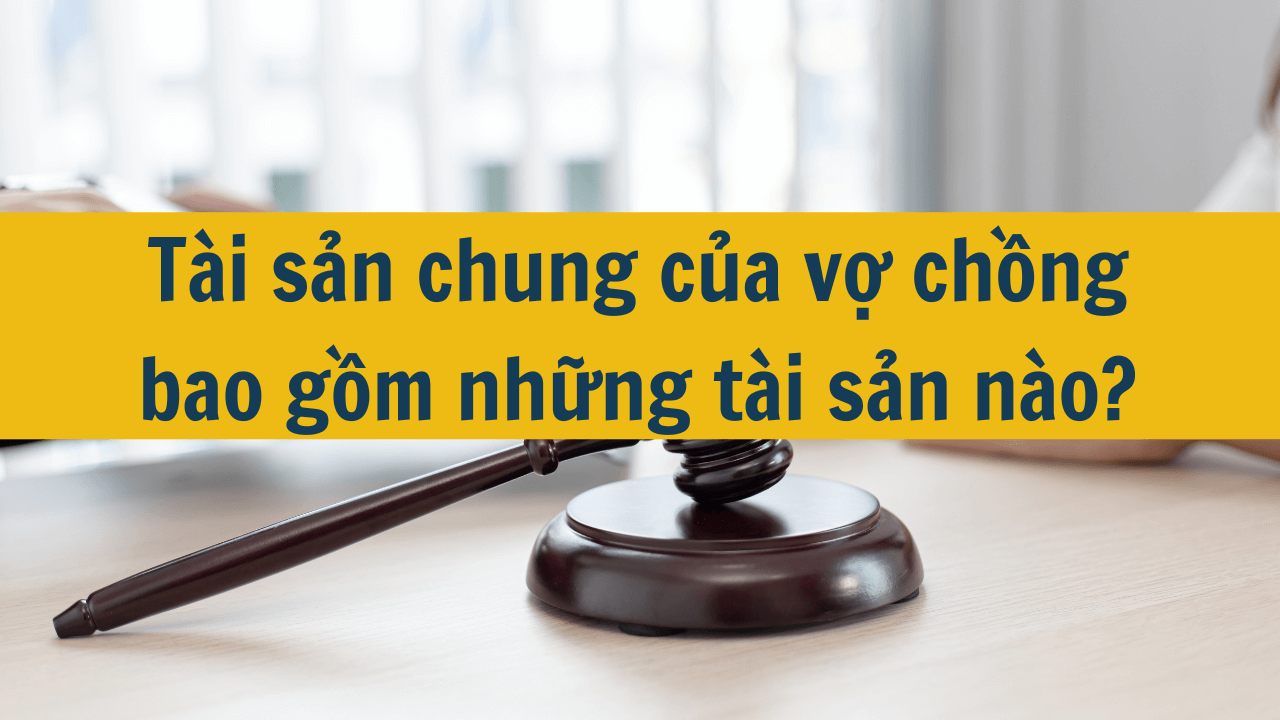 Tài sản chung của vợ chồng bao gồm những tài sản nào mới nhất 2025? (ảnh 1)