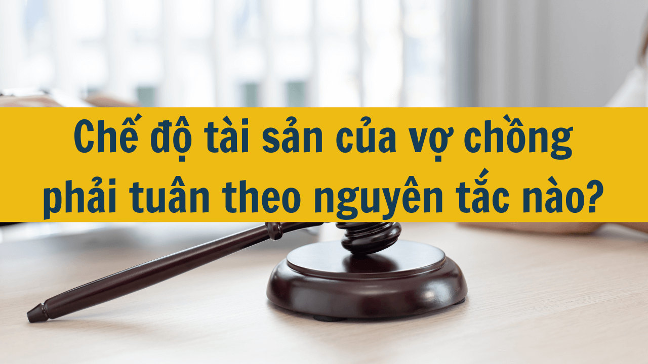 Chế độ tài sản của vợ chồng phải tuân theo nguyên tắc nào mới nhất 2025? (ảnh 1)