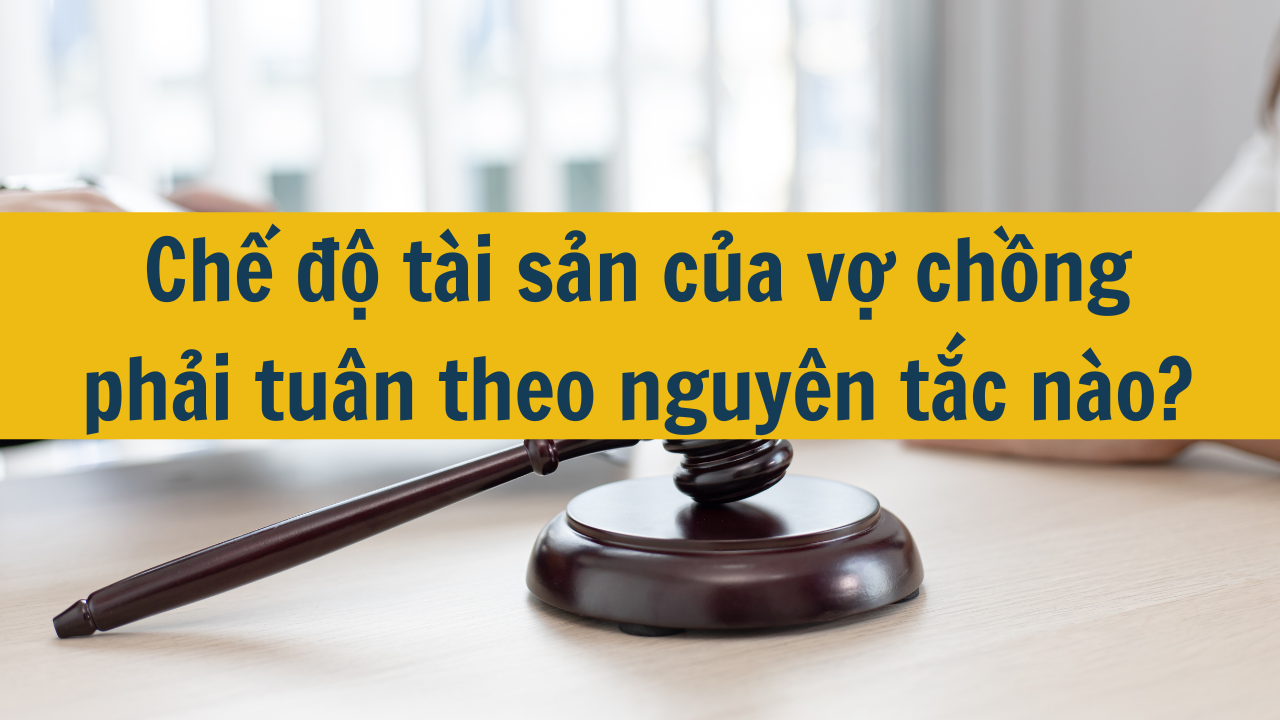 Chế độ tài sản của vợ chồng phải tuân theo nguyên tắc nào?