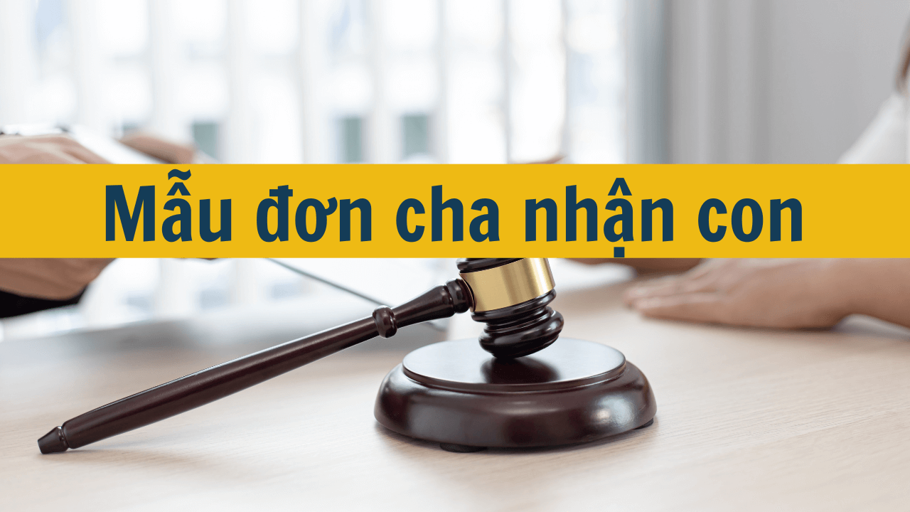 Mẫu tờ khai đăng ký nhận cha mẹ con mới nhất 2025 (ảnh 1)